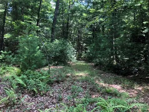Tbd Maines Hill Lane Scottville NC 28663