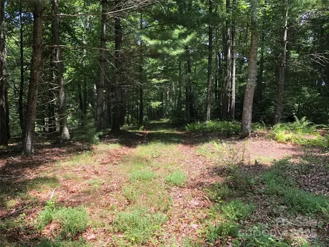 Tbd Maines Hill Lane Scottville NC 28663