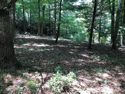 Tbd Maines Hill Lane Scottville NC 28663