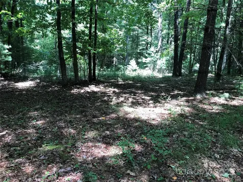 Tbd Maines Hill Lane Scottville NC 28663