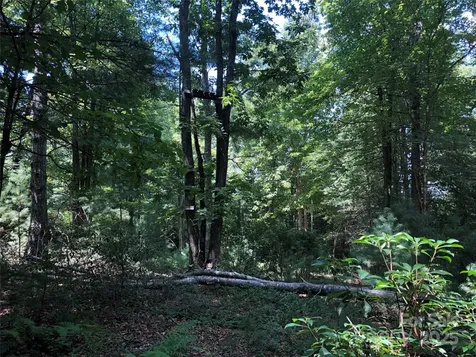 Tbd Maines Hill Lane Scottville NC 28663