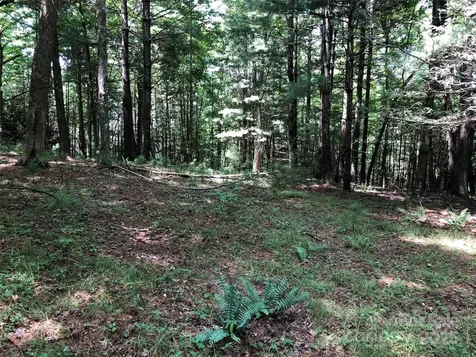 Tbd Maines Hill Lane Scottville NC 28663