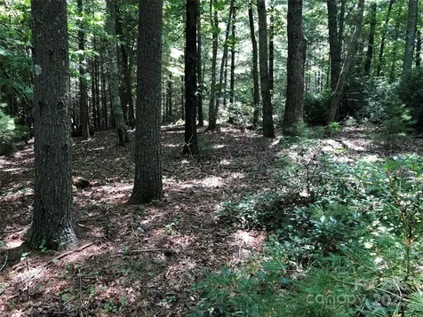 Tbd Maines Hill Lane Scottville NC 28663