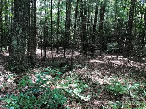 Tbd Maines Hill Lane Scottville NC 28663