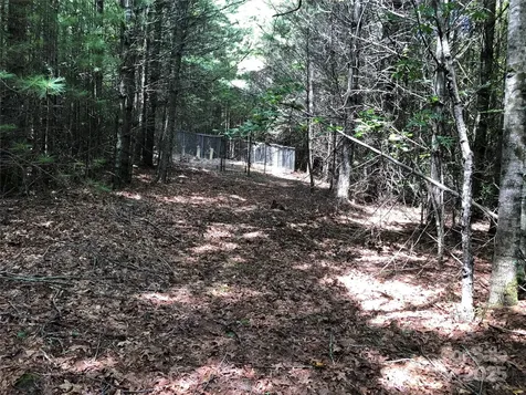 Tbd Maines Hill Lane Scottville NC 28663
