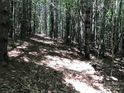 Tbd Maines Hill Lane Scottville NC 28663