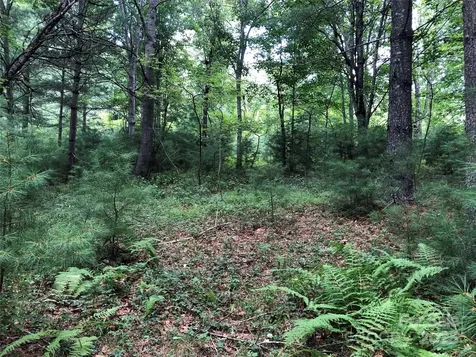 Tbd Maines Hill Lane Scottville NC 28663