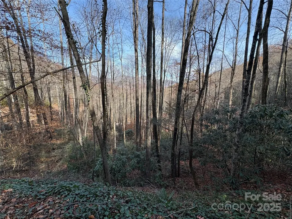 Tr 6 Little Bit Trail Whittier NC 28789