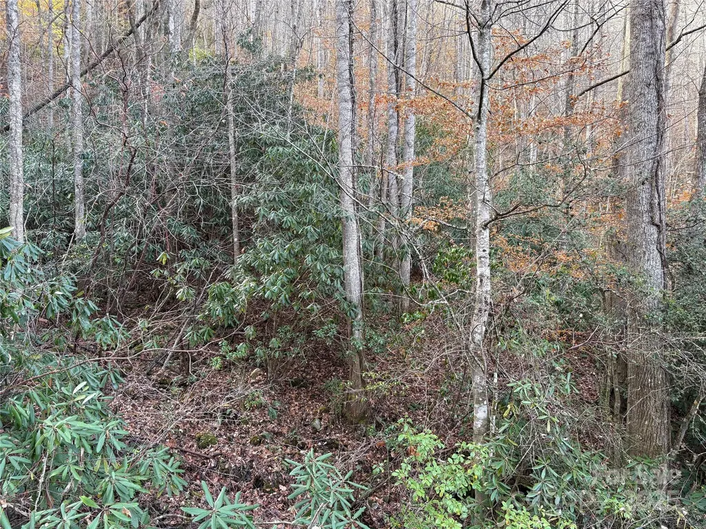 Tr 6 Little Bit Trail Whittier NC 28789