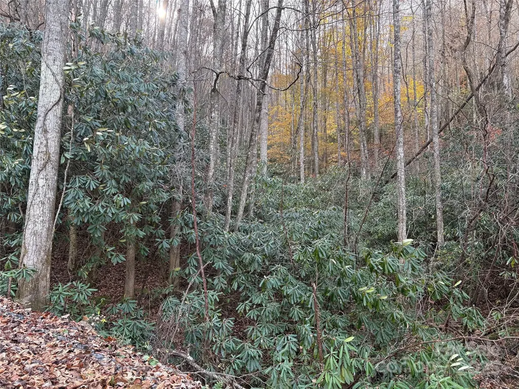 Tr 6 Little Bit Trail Whittier NC 28789