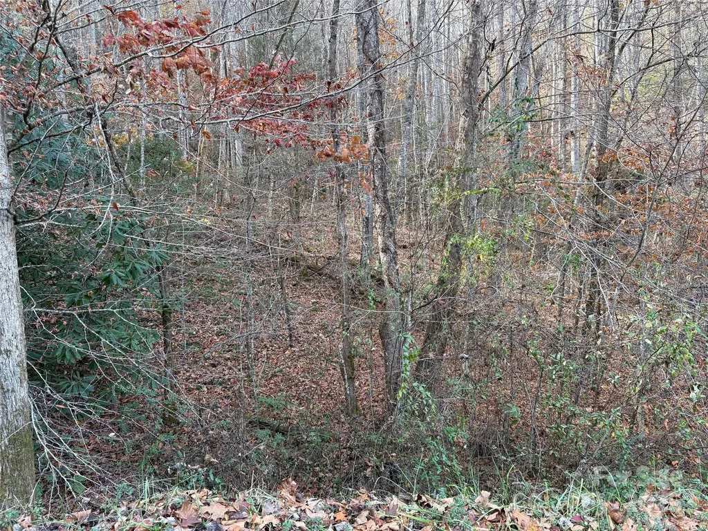 Tr 6 Little Bit Trail Whittier NC 28789