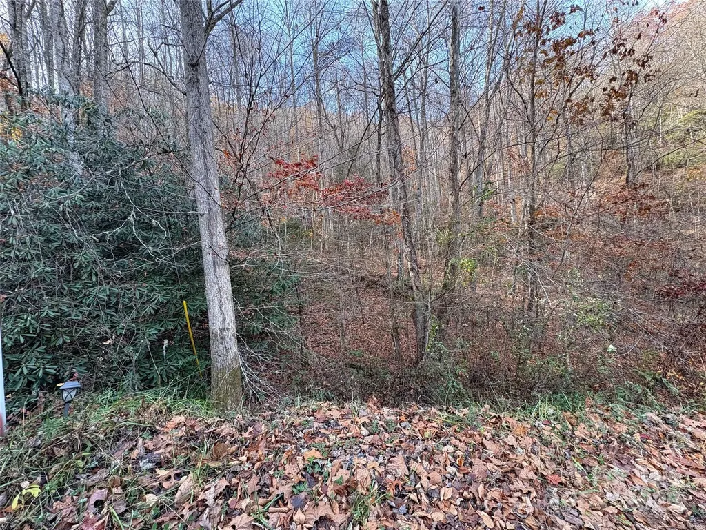 Tr 6 Little Bit Trail Whittier NC 28789