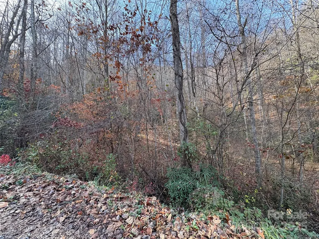 Tr 6 Little Bit Trail Whittier NC 28789