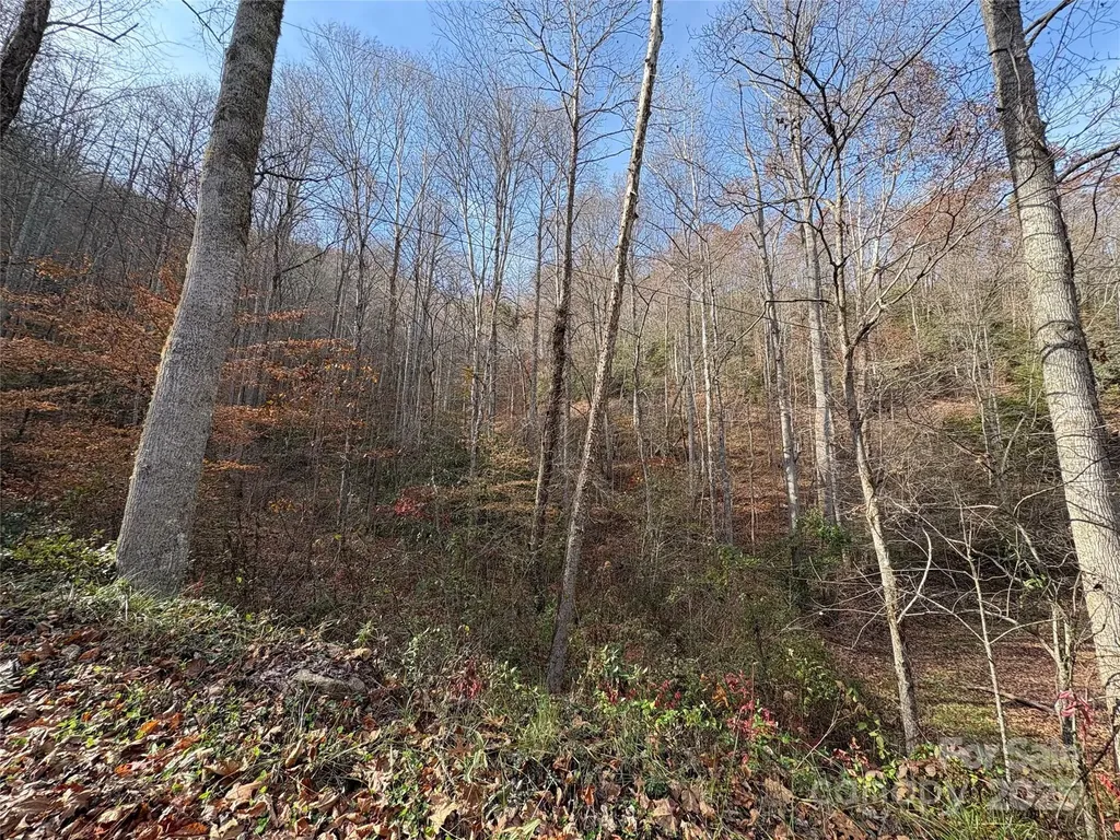 Tr 6 Little Bit Trail Whittier NC 28789