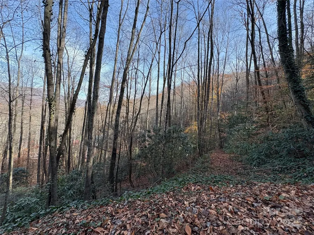 Tr 6 Little Bit Trail Whittier NC 28789