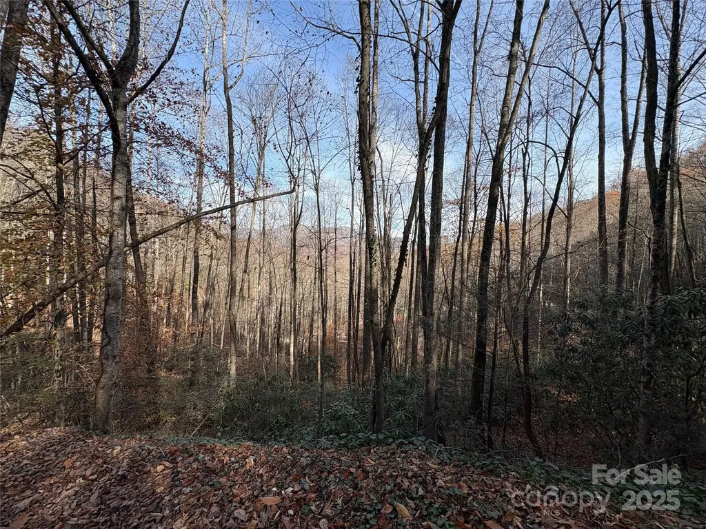 Tr 6 Little Bit Trail Whittier NC 28789