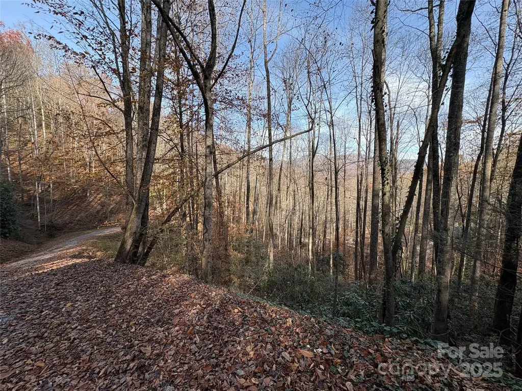 Tr 6 Little Bit Trail Whittier NC 28789