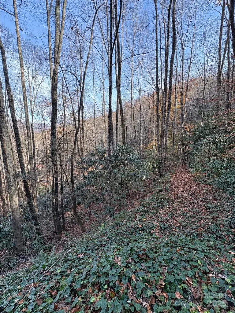 Tr 6 Little Bit Trail Whittier NC 28789