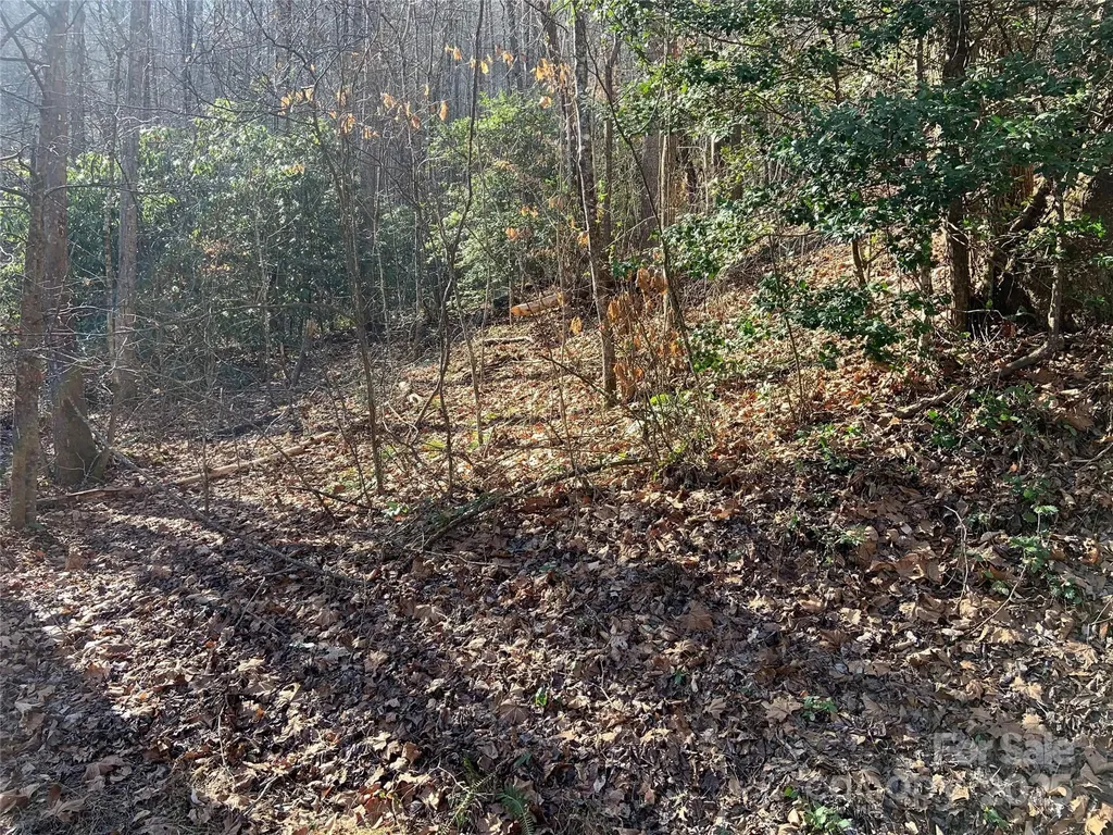 Tr 6 Little Bit Trail Whittier NC 28789