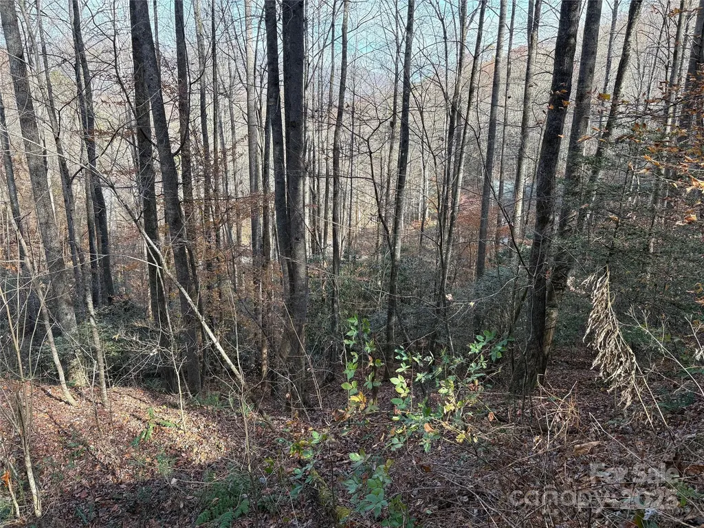 Tr 6 Little Bit Trail Whittier NC 28789