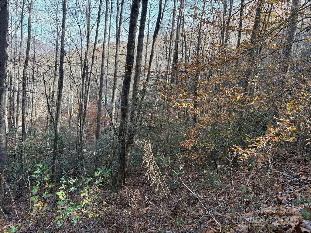 Tr 6 Little Bit Trail Whittier NC 28789