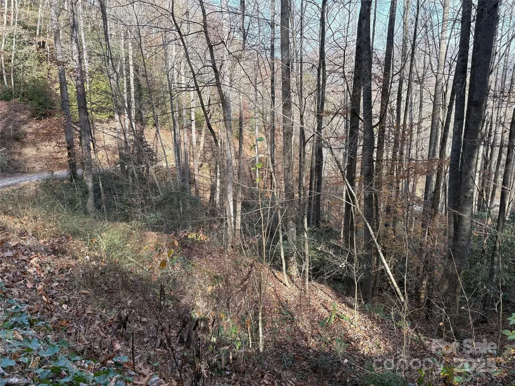 Tr 6 Little Bit Trail Whittier NC 28789