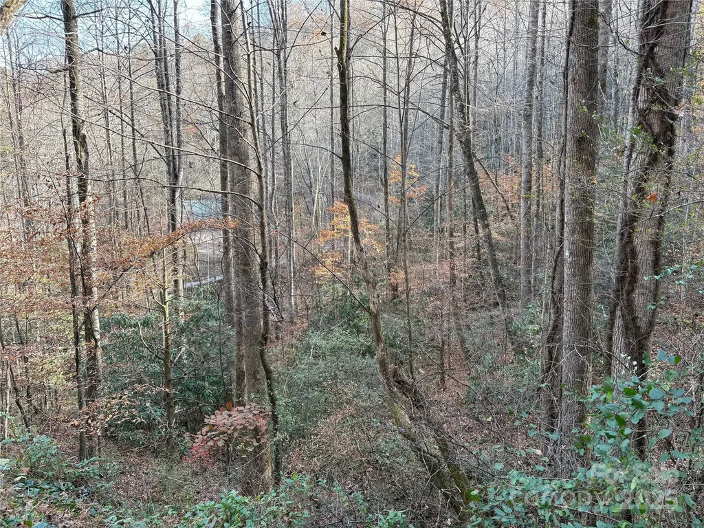 Tr 6 Little Bit Trail Whittier NC 28789