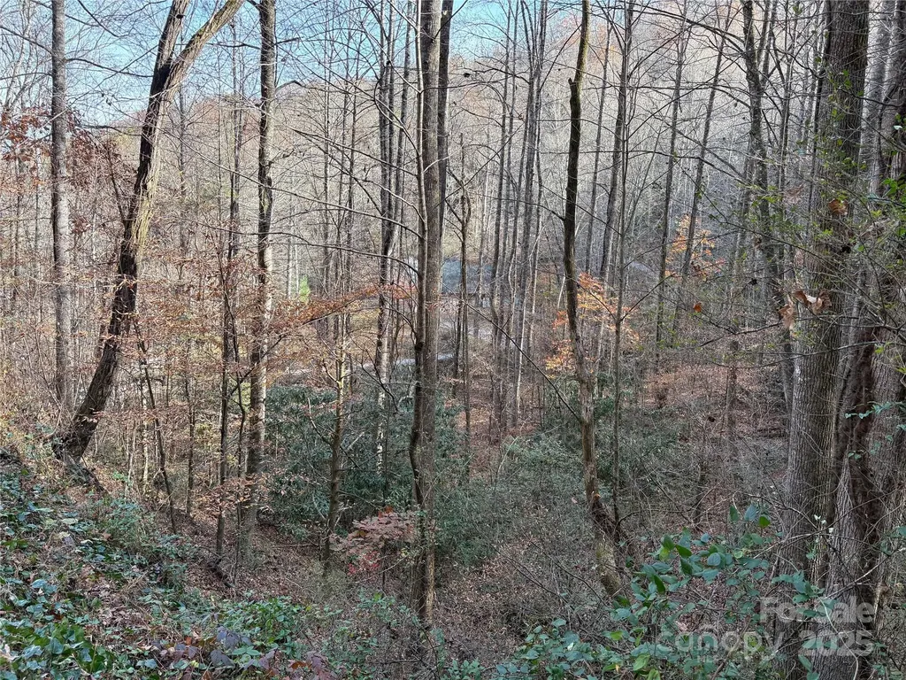 Tr 6 Little Bit Trail Whittier NC 28789