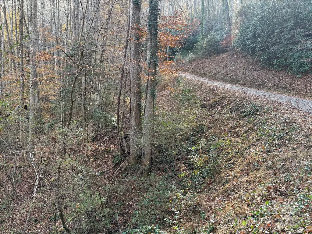 Tr 6 Little Bit Trail Whittier NC 28789