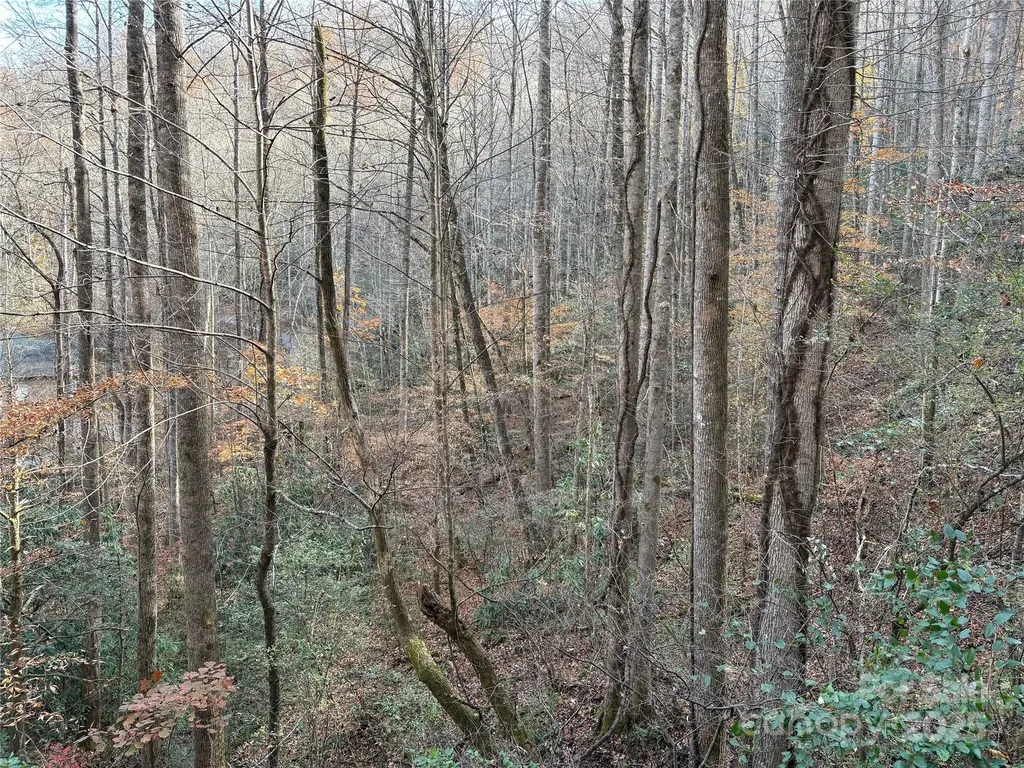 Tr 6 Little Bit Trail Whittier NC 28789