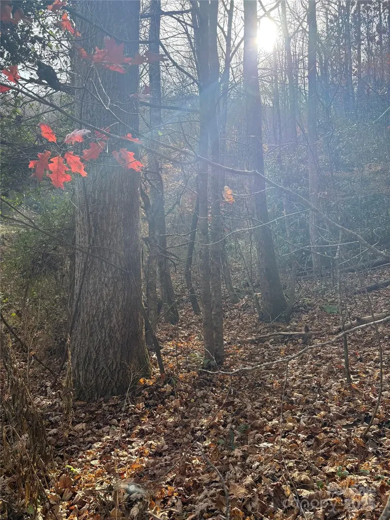 Tr 6 Little Bit Trail Whittier NC 28789