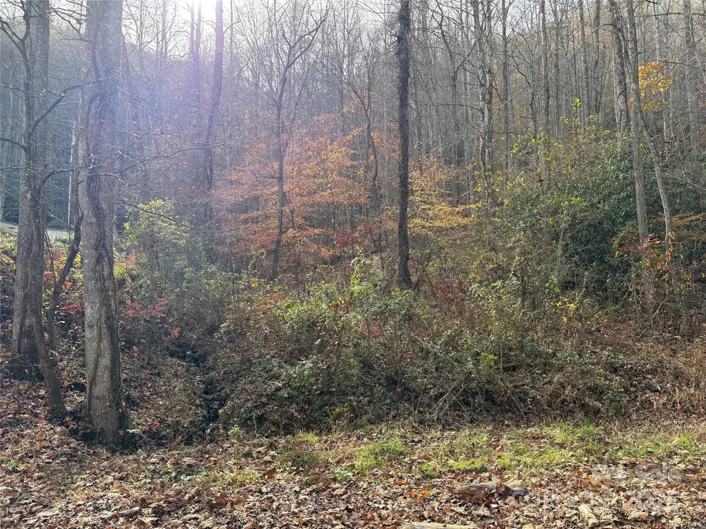 Tr 6 Little Bit Trail Whittier NC 28789