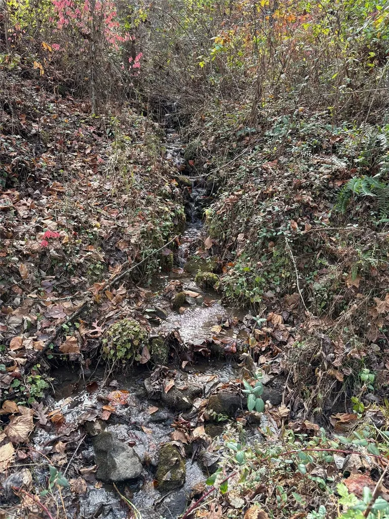 Tr 6 Little Bit Trail Whittier NC 28789