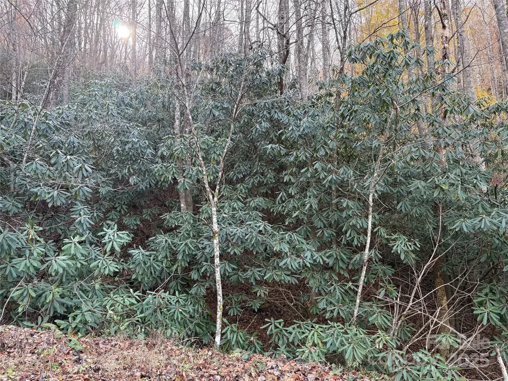 Tr 6 Little Bit Trail Whittier NC 28789