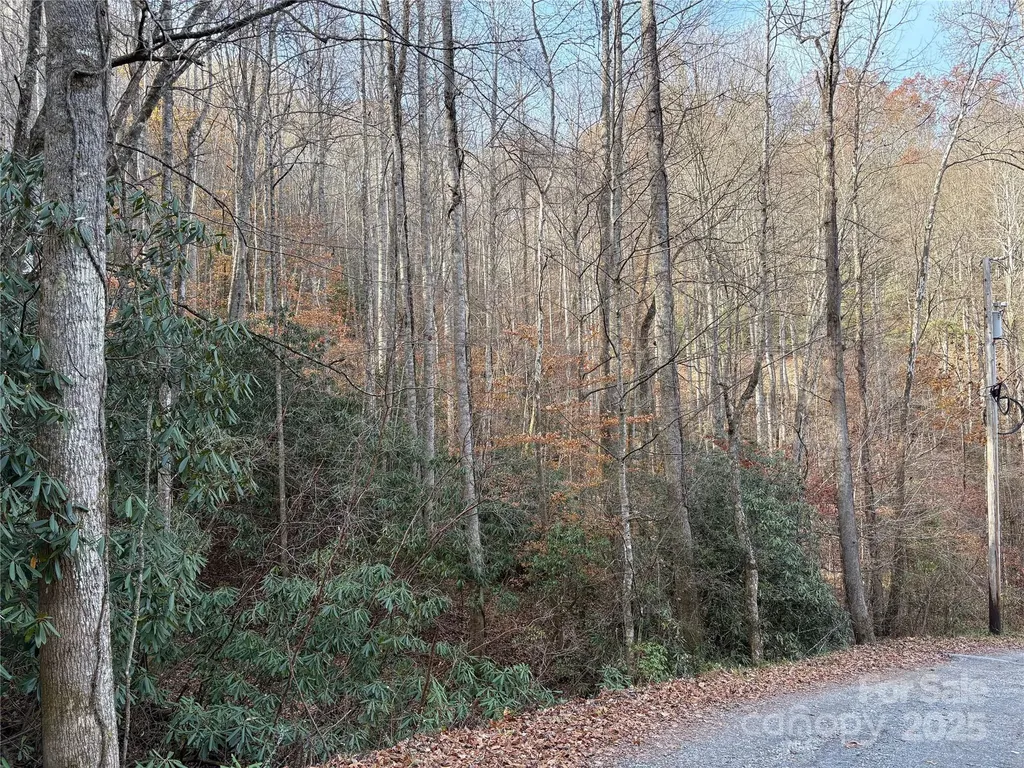 Tr 6 Little Bit Trail Whittier NC 28789