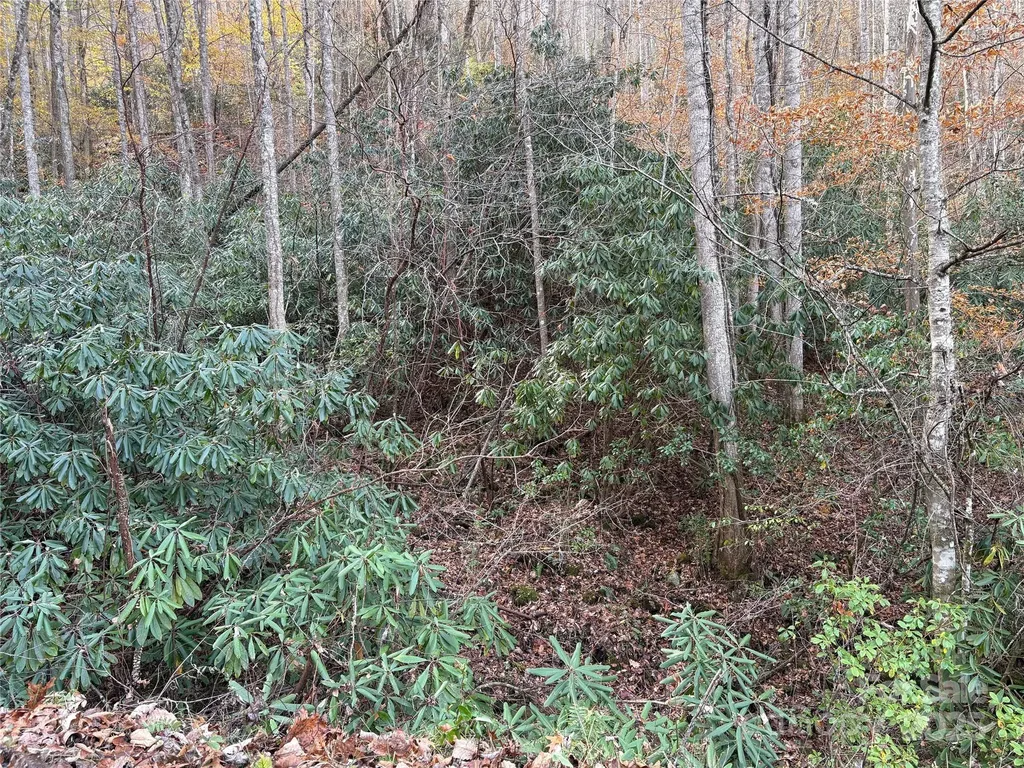 Tr 6 Little Bit Trail Whittier NC 28789
