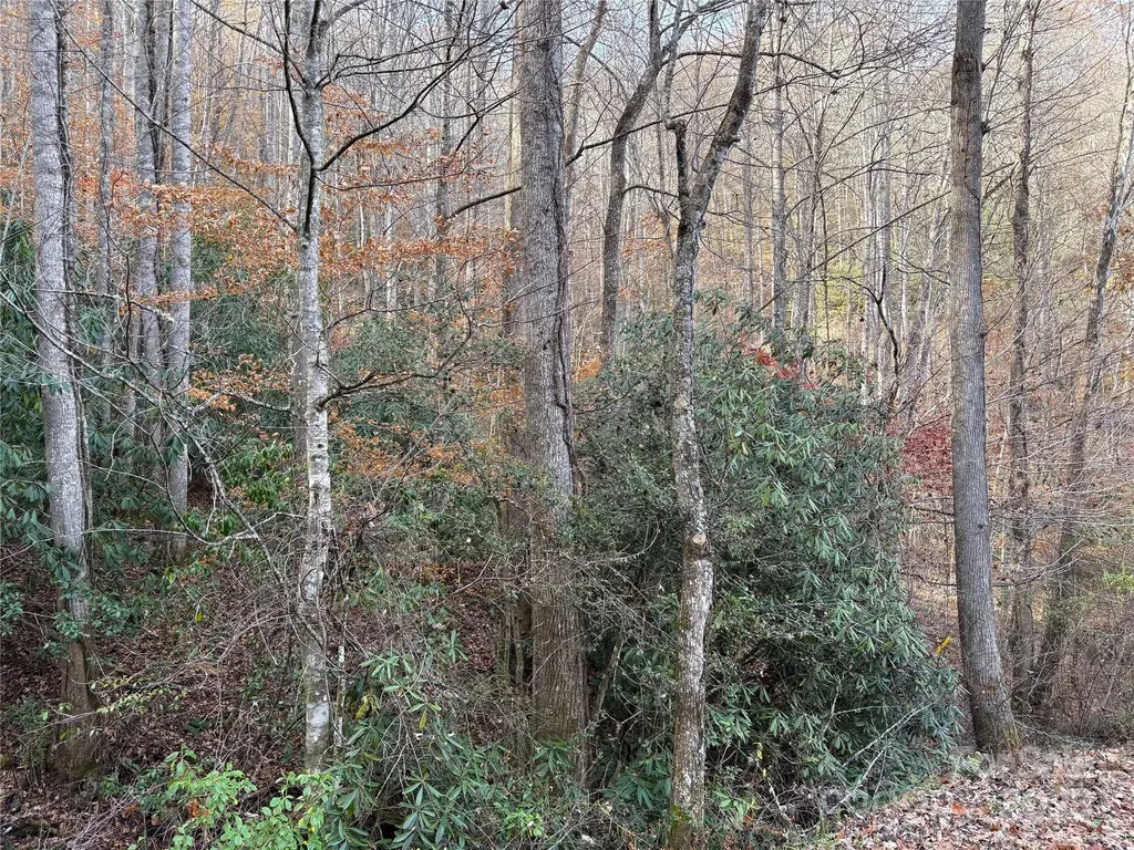 Tr 6 Little Bit Trail Whittier NC 28789