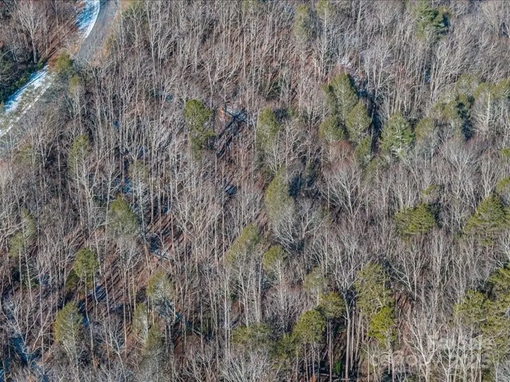 00 High Trail Drive Nebo NC 28761