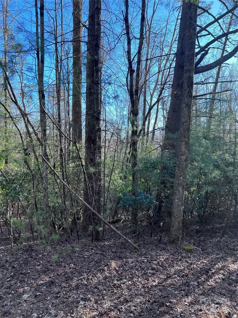 L26 Konnaneeta Trail Brevard NC 28712