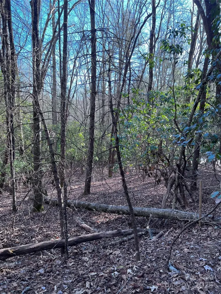 L26 Konnaneeta Trail Brevard NC 28712