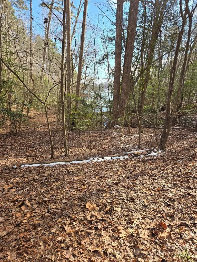 283 Rivercliff Drive Stony Point NC 28678
