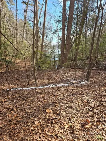 283 Rivercliff Drive Stony Point NC 28678