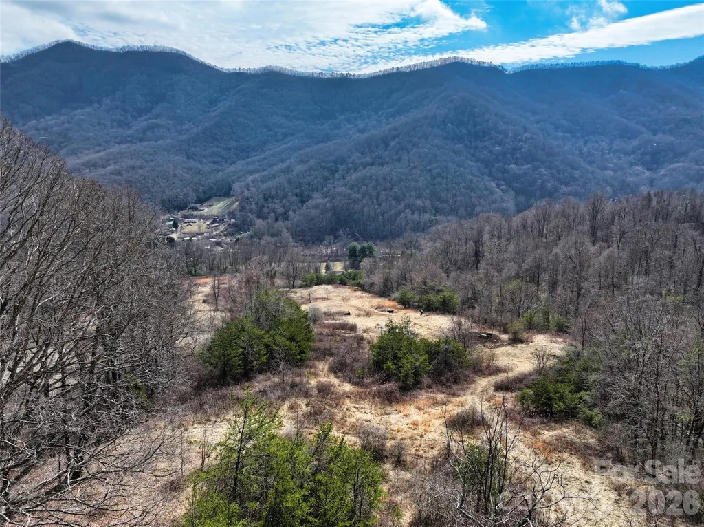 1567 Newfound Road Leicester NC 28748