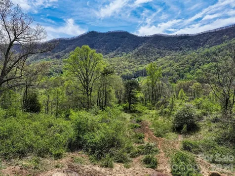 1567 Newfound Road Leicester NC 28748