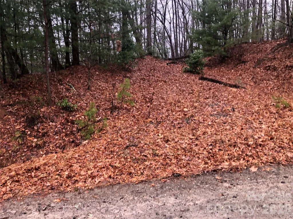 Tbd Pepper Bush Road Purlear NC 28665