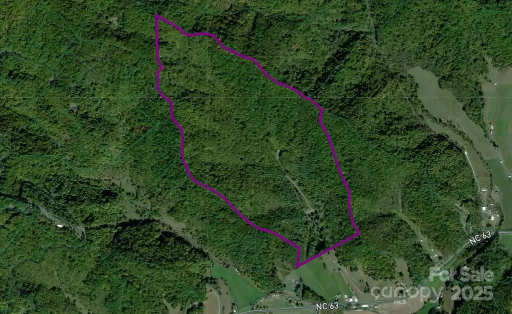 8749 Nc 63 Highway Leicester NC 28748