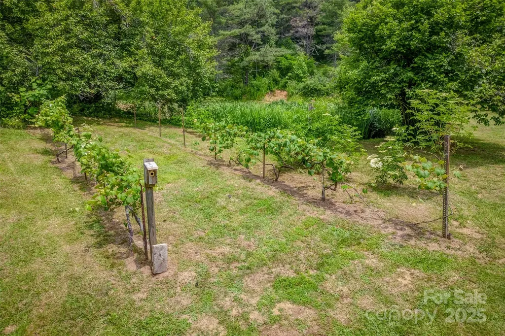 8749 Nc 63 Highway Leicester NC 28748