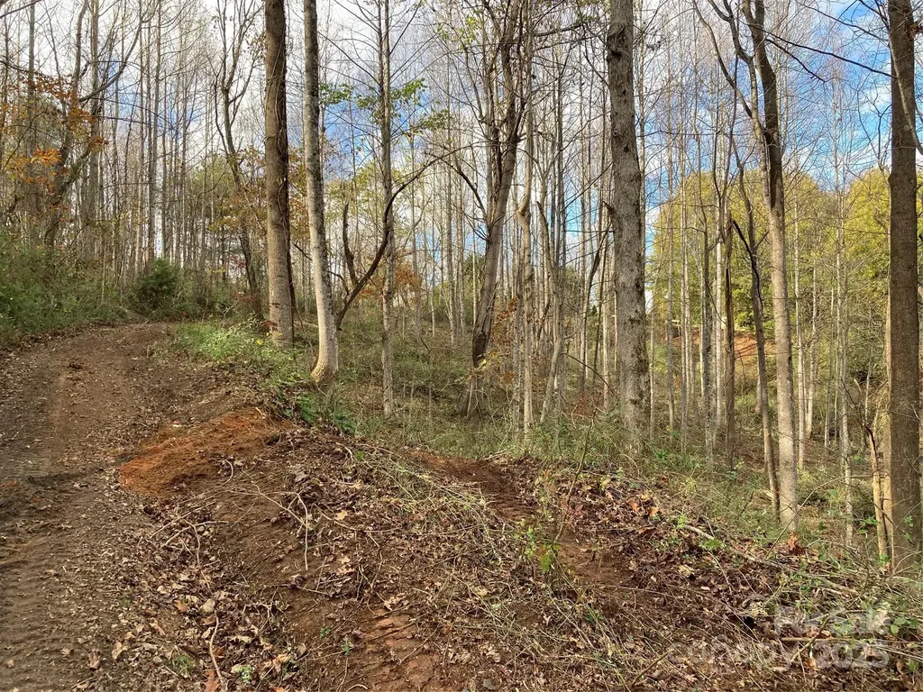 1638 Continental Divide Drive Flat Rock NC 28731