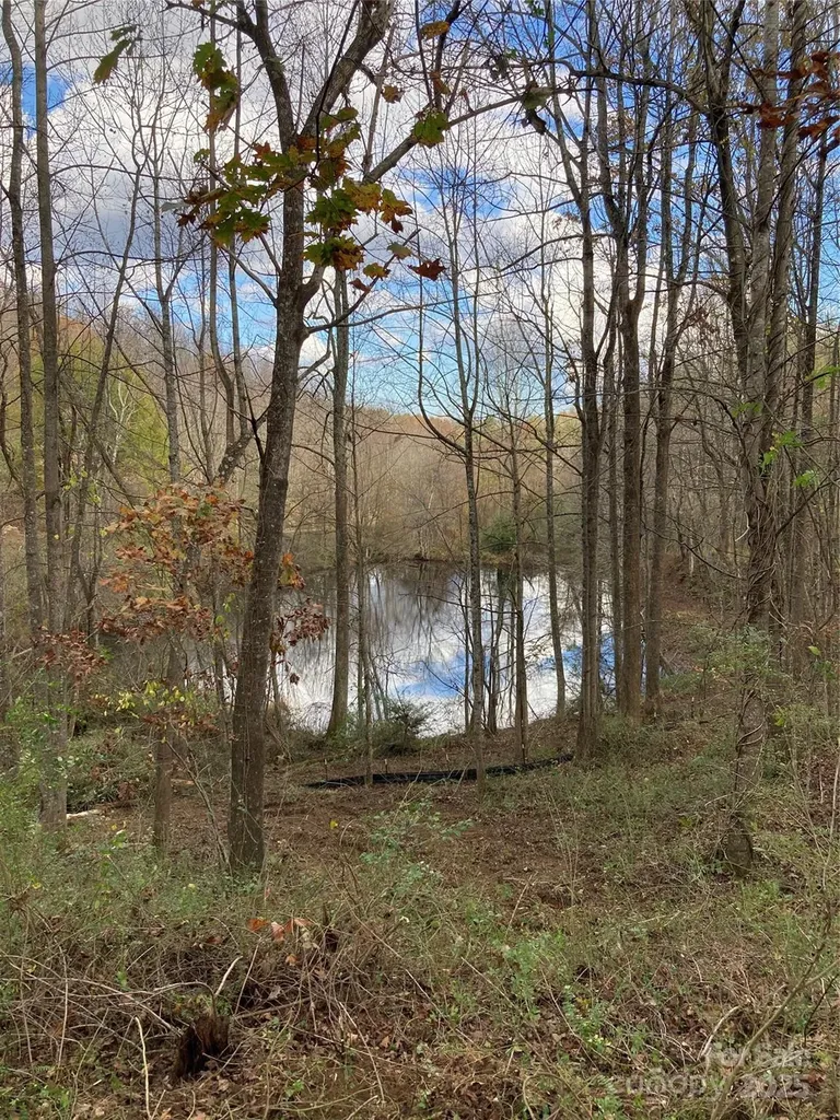1638 Continental Divide Drive Flat Rock NC 28731