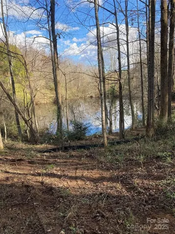 1638 Continental Divide Drive Flat Rock NC 28731